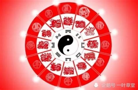 卯申合|地支卯申暗合(卯申暗合,一直不好意思说)